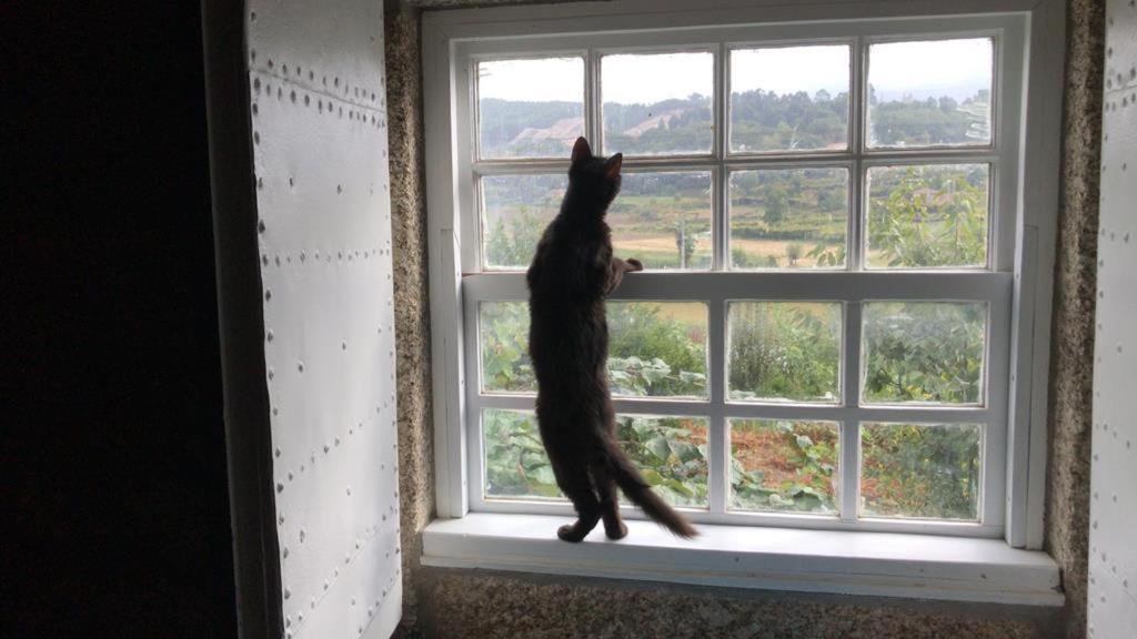 Quinta Do Pinheiro Villa Guimarães Екстериор снимка