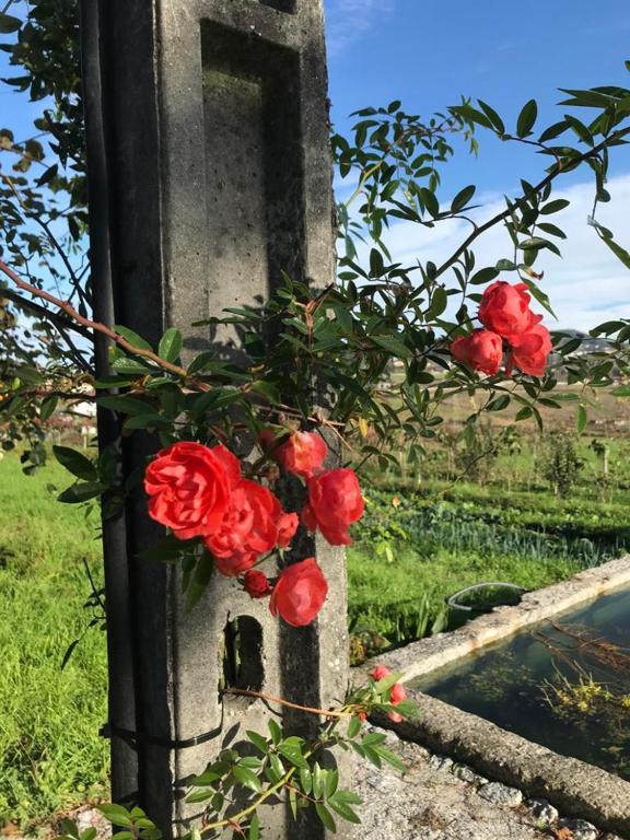 Quinta Do Pinheiro Villa Guimarães Екстериор снимка