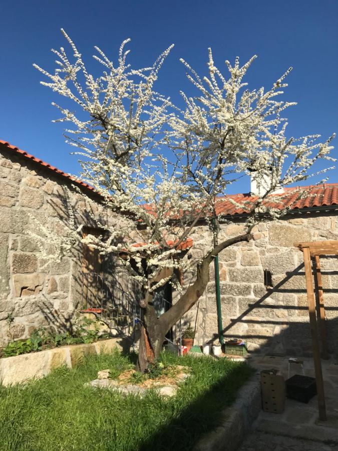 Quinta Do Pinheiro Villa Guimarães Екстериор снимка