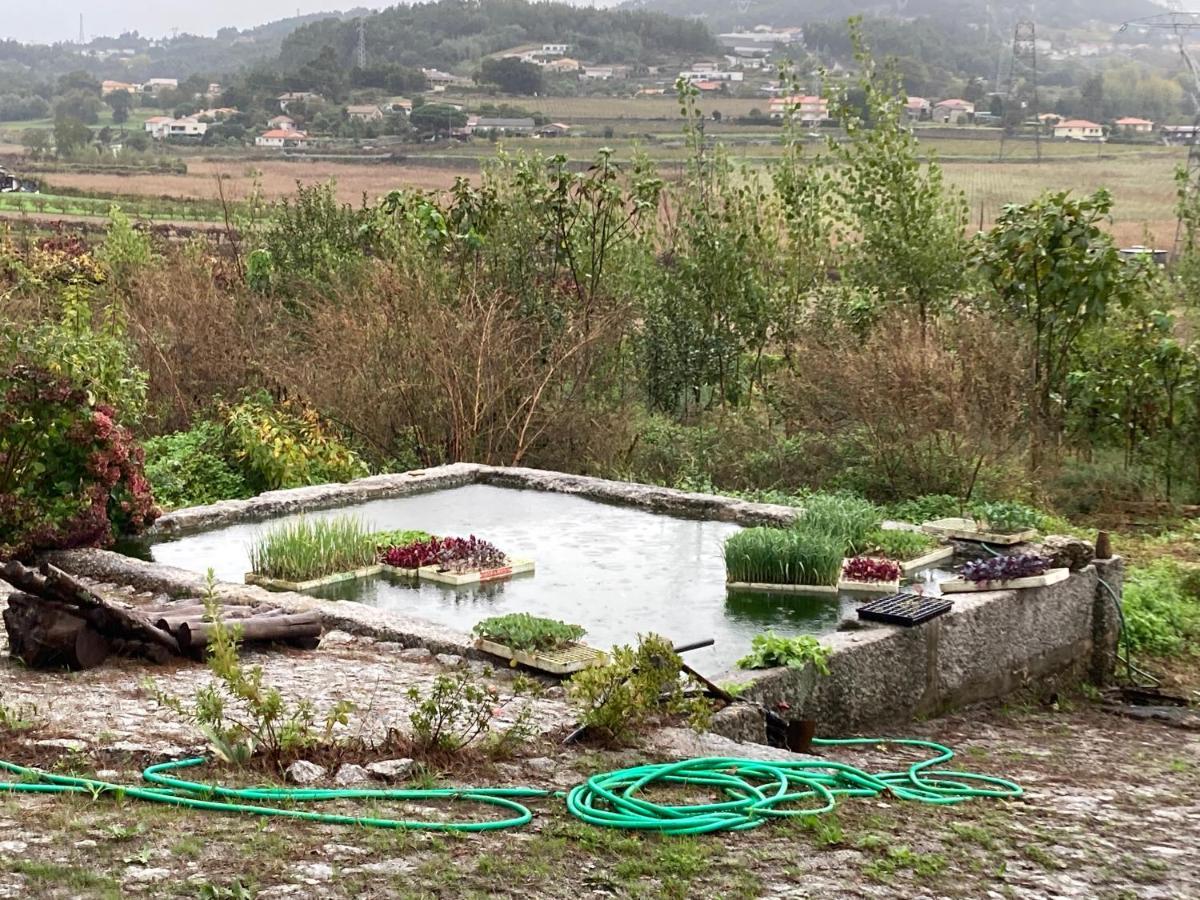 Quinta Do Pinheiro Villa Guimarães Екстериор снимка